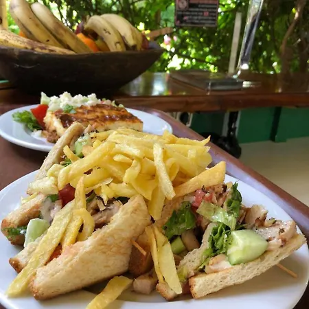 Διαμέρισμα Mamma's Cooking Σκιάθος Πόλη