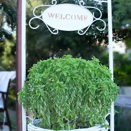 Διαμέρισμα Mamma's Cooking Σκιάθος Πόλη