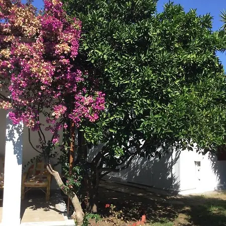 Appartement Mamma's Cooking Skiathos-stad